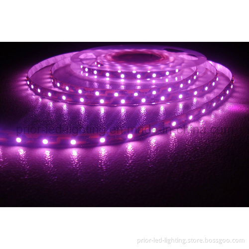 Purple LED Strip